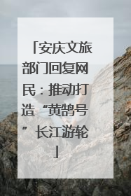 安庆文旅部门回复网民：推动打造“黄鹄号”长江游轮