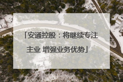 安通控股：将继续专注主业 增强业务优势