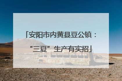 安阳市内黄县豆公镇：“三夏”生产有实招