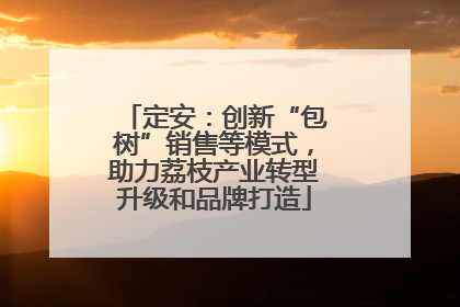 定安：创新“包树”销售等模式，助力荔枝产业转型升级和品牌打造