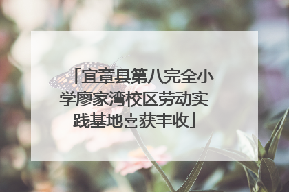 宜章县第八完全小学廖家湾校区劳动实践基地喜获丰收