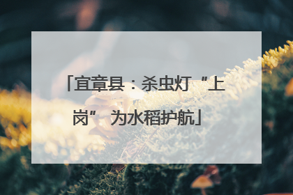 宜章县：杀虫灯“上岗” 为水稻护航