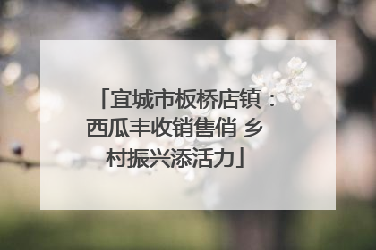 宜城市板桥店镇：西瓜丰收销售俏 乡村振兴添活力