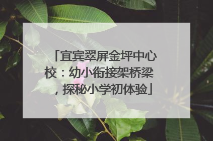 宜宾翠屏金坪中心校：幼小衔接架桥梁，探秘小学初体验