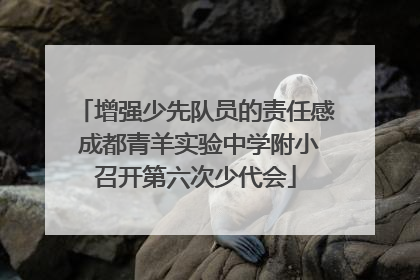 增强少先队员的责任感 成都青羊实验中学附小召开第六次少代会