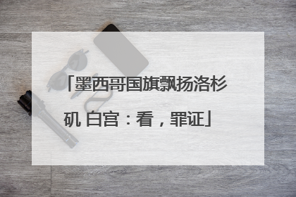 墨西哥国旗飘扬洛杉矶 白宫：看，罪证