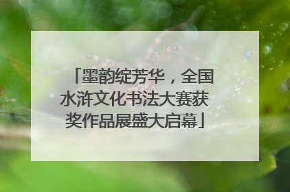 墨韵绽芳华，全国水浒文化书法大赛获奖作品展盛大启幕