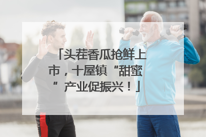 头茬香瓜抢鲜上市，十屋镇“甜蜜”产业促振兴！