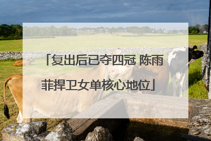 复出后已夺四冠 陈雨菲捍卫女单核心地位