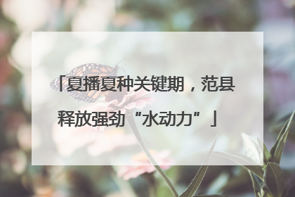 夏播夏种关键期，范县释放强劲“水动力”