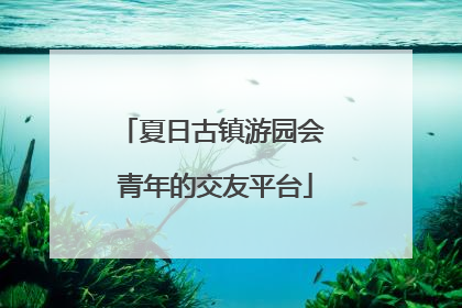 夏日古镇游园会 青年的交友平台