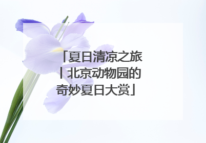 夏日清凉之旅丨北京动物园的奇妙夏日大赏