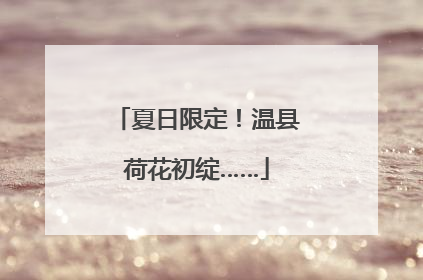 夏日限定！温县荷花初绽……