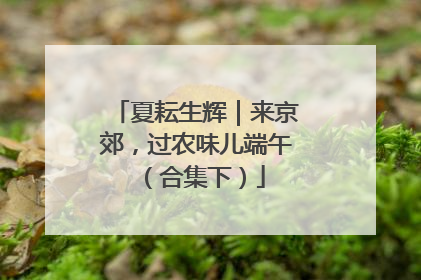 夏耘生辉｜来京郊，过农味儿端午（合集下）