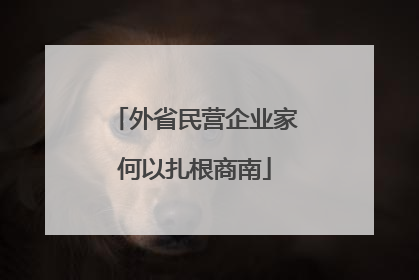 外省民营企业家何以扎根商南