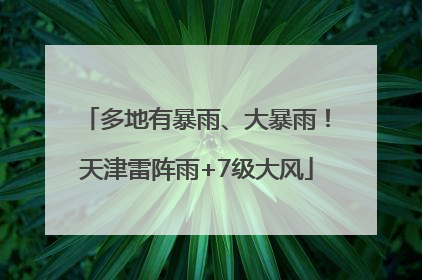 多地有暴雨、大暴雨！天津雷阵雨+7级大风