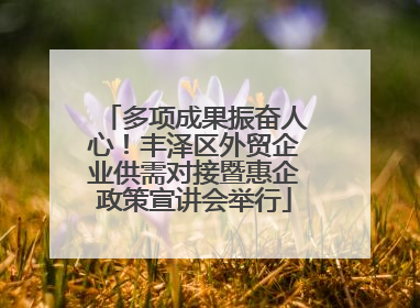 多项成果振奋人心！丰泽区外贸企业供需对接暨惠企政策宣讲会举行