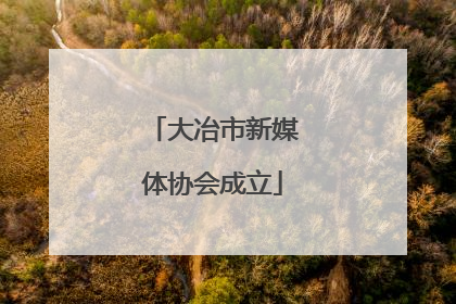 大冶市新媒体协会成立