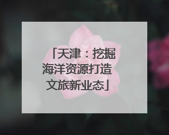 天津：挖掘海洋资源打造文旅新业态
