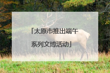 太原市推出端午系列文博活动