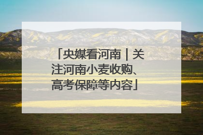 央媒看河南｜关注河南小麦收购、高考保障等内容