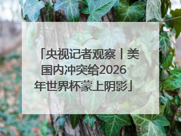 央视记者观察丨美国内冲突给2026年世界杯蒙上阴影