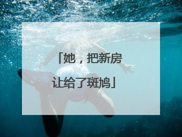 她，把新房让给了斑鸠