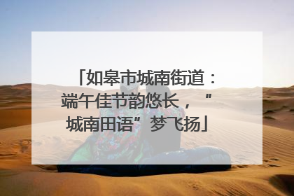 如皋市城南街道：端午佳节韵悠长，“城南田语”梦飞扬