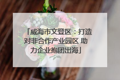 威海市文登区：打造对非合作产业园区 助力企业抱团出海