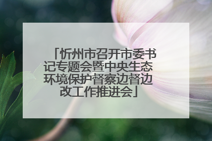 忻州市召开市委书记专题会暨中央生态环境保护督察边督边改工作推进会