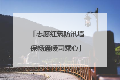 志愿红筑防汛墙 保畅通暖司乘心