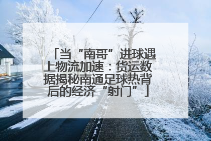 当“南哥”进球遇上物流加速：货运数据揭秘南通足球热背后的经济“射门”