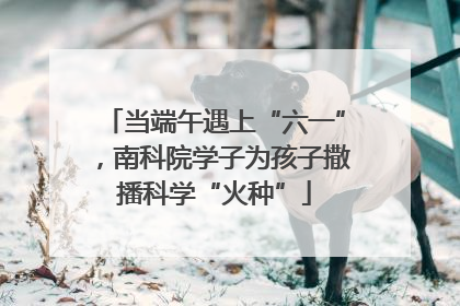 当端午遇上“六一”，南科院学子为孩子撒播科学“火种”