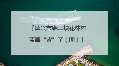 德兴市绕二镇花林村蓝莓“紫”了（图）