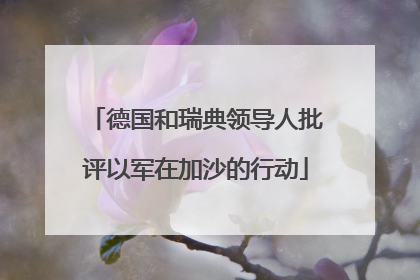 德国和瑞典领导人批评以军在加沙的行动