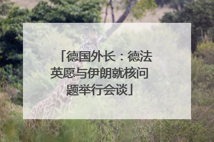 德国外长：德法英愿与伊朗就核问题举行会谈