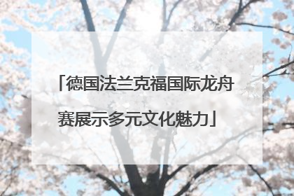 德国法兰克福国际龙舟赛展示多元文化魅力