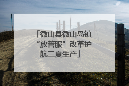 微山县微山岛镇“放管服”改革护航三夏生产