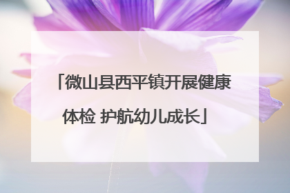 微山县西平镇开展健康体检 护航幼儿成长