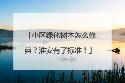 小区绿化树木怎么修剪？淮安有了标准！
