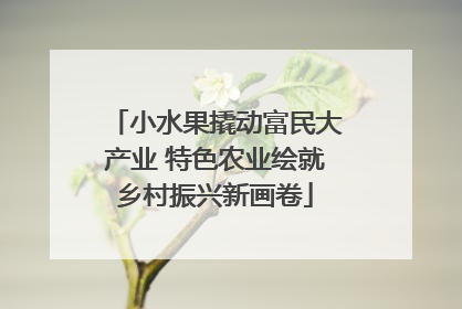 小水果撬动富民大产业 特色农业绘就乡村振兴新画卷