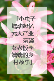 小虫子蠕动起亿元大产业——菏泽女老板李端端的乡村故事