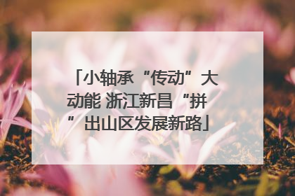 小轴承“传动”大动能 浙江新昌“拼”出山区发展新路