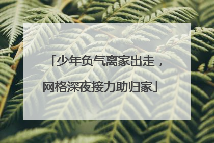 少年负气离家出走，网格深夜接力助归家