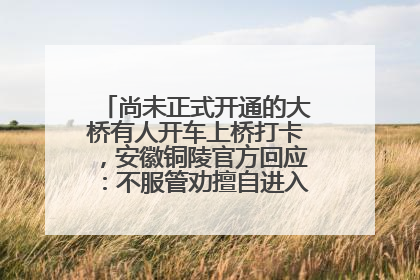 尚未正式开通的大桥有人开车上桥打卡，安徽铜陵官方回应：不服管劝擅自进入，已采取措施