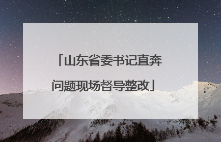山东省委书记直奔问题现场督导整改