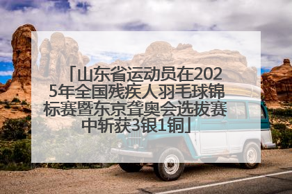 山东省运动员在2025年全国残疾人羽毛球锦标赛暨东京聋奥会选拔赛中斩获3银1铜