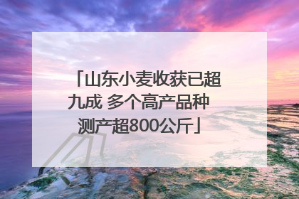 山东小麦收获已超九成 多个高产品种测产超800公斤