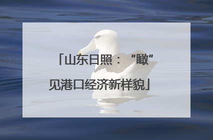 山东日照：“瞰”见港口经济新样貌