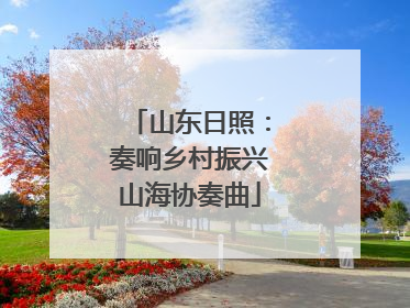山东日照：奏响乡村振兴山海协奏曲